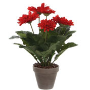 Artificial Plant - Red Gerbera - MICA